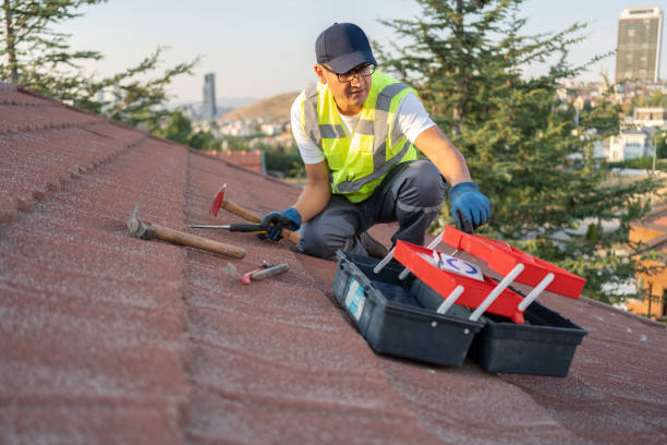 Best Storm Damage Siding Repair  in Montezuma, IA